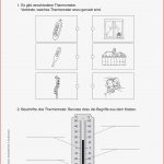 Grundschule Unterrichtsmaterial