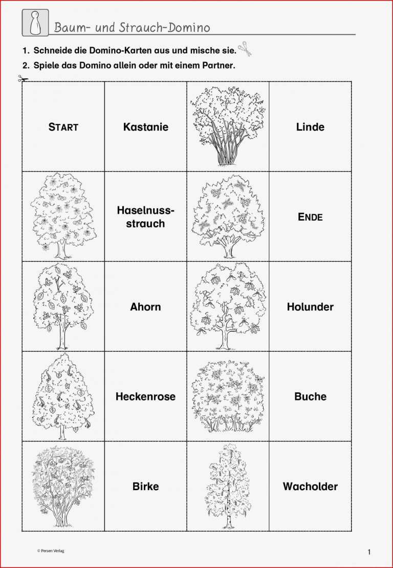 Grundschule Unterrichtsmaterial