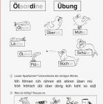 Grundschule Unterrichtsmaterial Deutsch Lesen Lernen