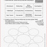 Grundschule Unterrichtsmaterial Deutsch Schreiben Texte