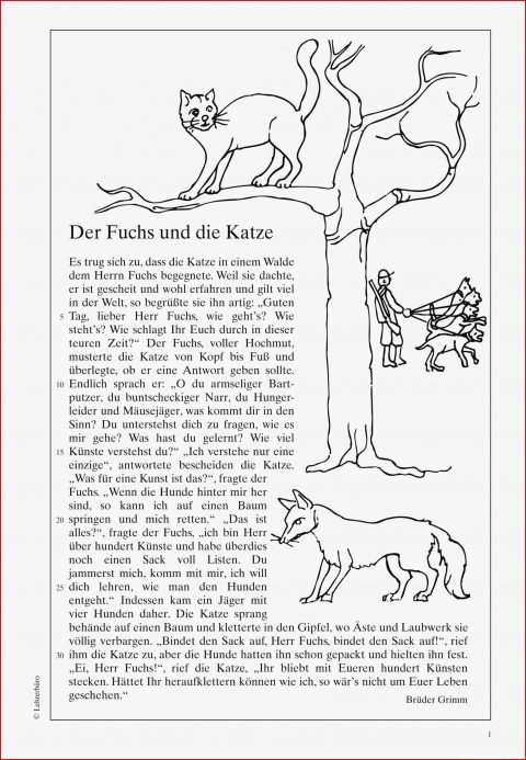 Der Fuchs Und Der Storch Arbeitsblatt Lösungen Faszinierend Der Fuchs Arbeitsblatt Grundschule Sie Jetzt Versuchen