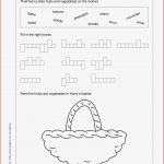 Grundschule Unterrichtsmaterial Englisch