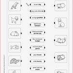 Grundschule Unterrichtsmaterial Englisch Lesen Und