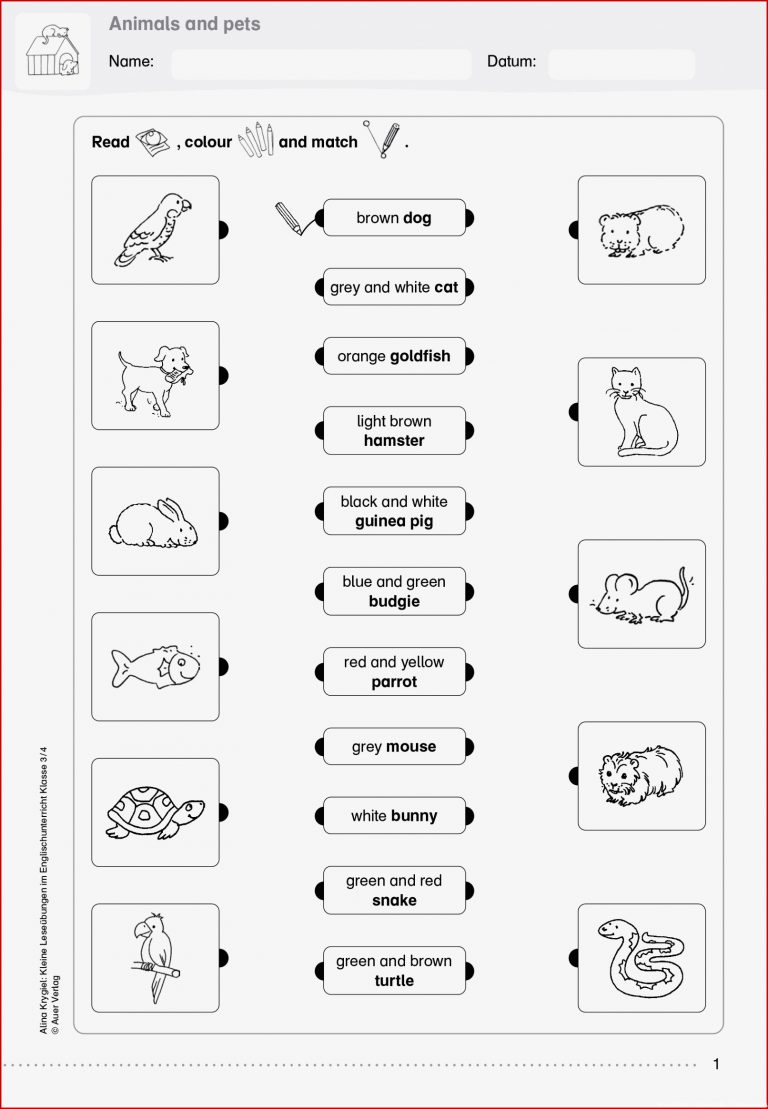 Grundschule Unterrichtsmaterial Englisch Lesen Und