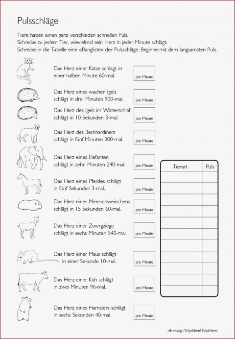 Grundschule Unterrichtsmaterial Fächerübergreifend Logik