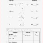 Grundschule Unterrichtsmaterial Mathematik Sachrechnen