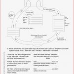 Grundschule Unterrichtsmaterial Religion Jesus Christus