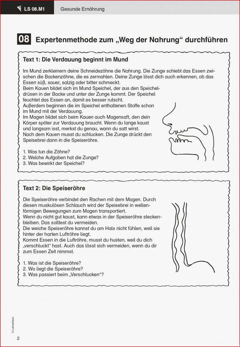 Grundschule Unterrichtsmaterial Sachunterricht