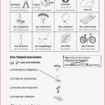 Grundschule Unterrichtsmaterial Sachunterricht