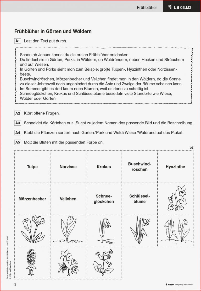 Grundschule Unterrichtsmaterial Sachunterricht