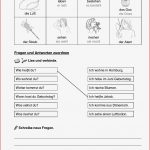 Grundschule Unterrichtsmaterial Sachunterricht