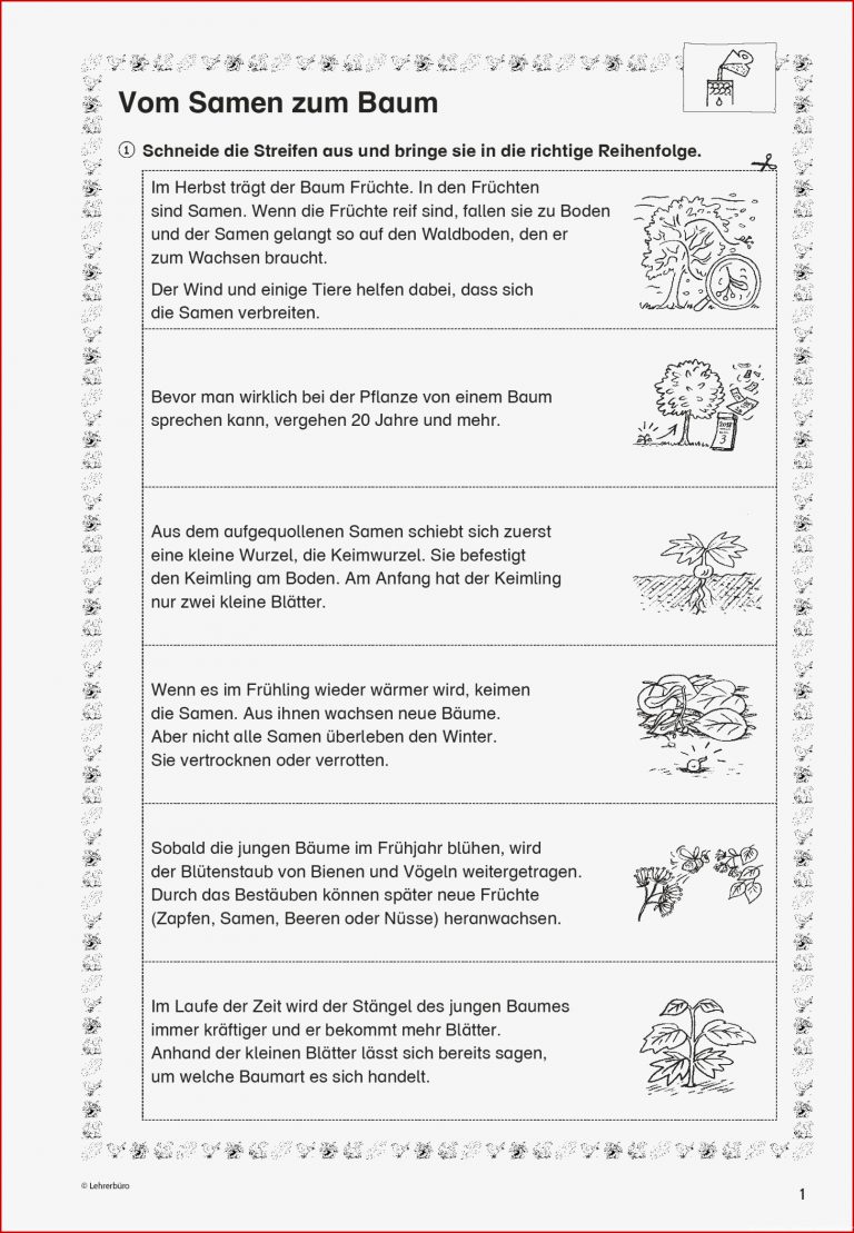 Grundschule Unterrichtsmaterial Sachunterricht