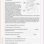 Grundschule Unterrichtsmaterial Sachunterricht
