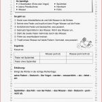 Grundschule Unterrichtsmaterial Sachunterricht