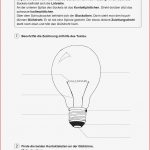 Grundschule Unterrichtsmaterial Sachunterricht