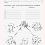 Grundschule Unterrichtsmaterial Sachunterricht Körper Und