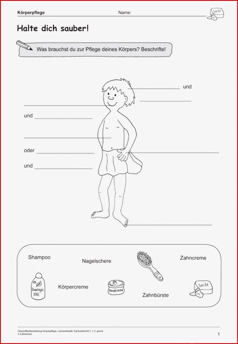 Grundschule Unterrichtsmaterial Sachunterricht Körper und