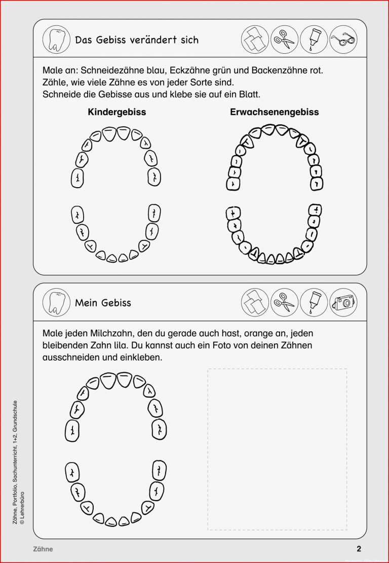 Grundschule Unterrichtsmaterial Sachunterricht Körper und