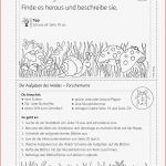 Grundschule Unterrichtsmaterial Sachunterricht Natur Und