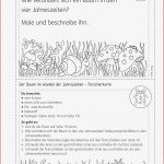 Grundschule Unterrichtsmaterial Sachunterricht Natur Und