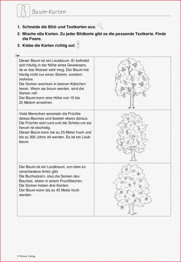 Grundschule Unterrichtsmaterial Sachunterricht Natur Und