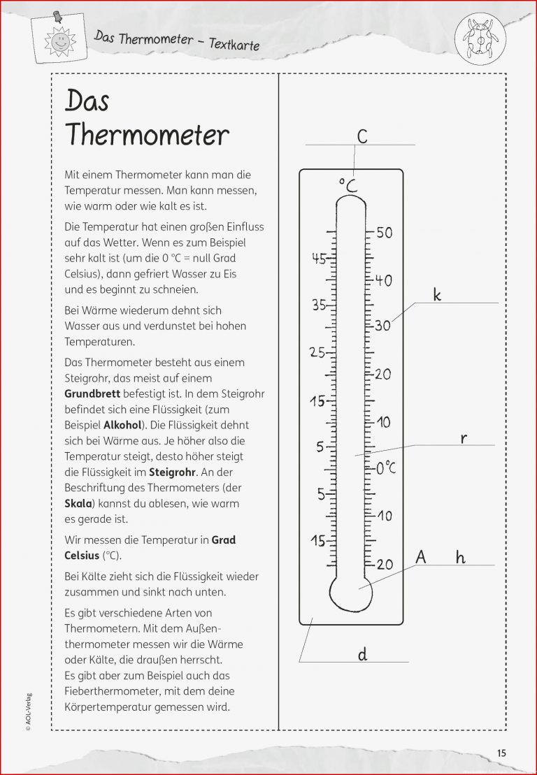 Grundschule Unterrichtsmaterial Sachunterricht Natur und