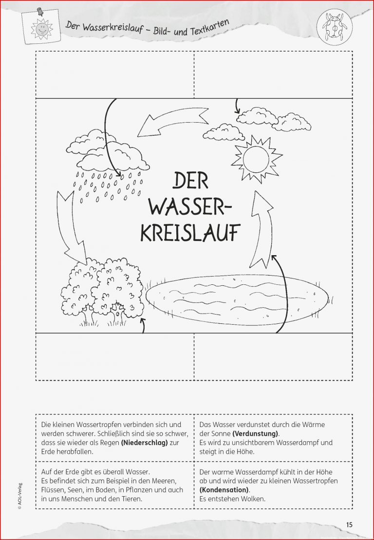 Grundschule Unterrichtsmaterial Sachunterricht Natur Und