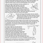 Grundschule Unterrichtsmaterial Sachunterricht Natur Und
