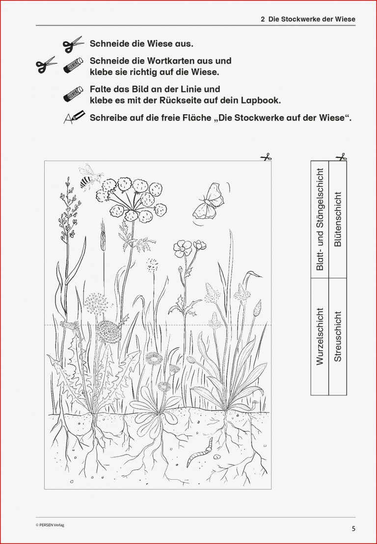 Grundschule Unterrichtsmaterial Sachunterricht Natur und