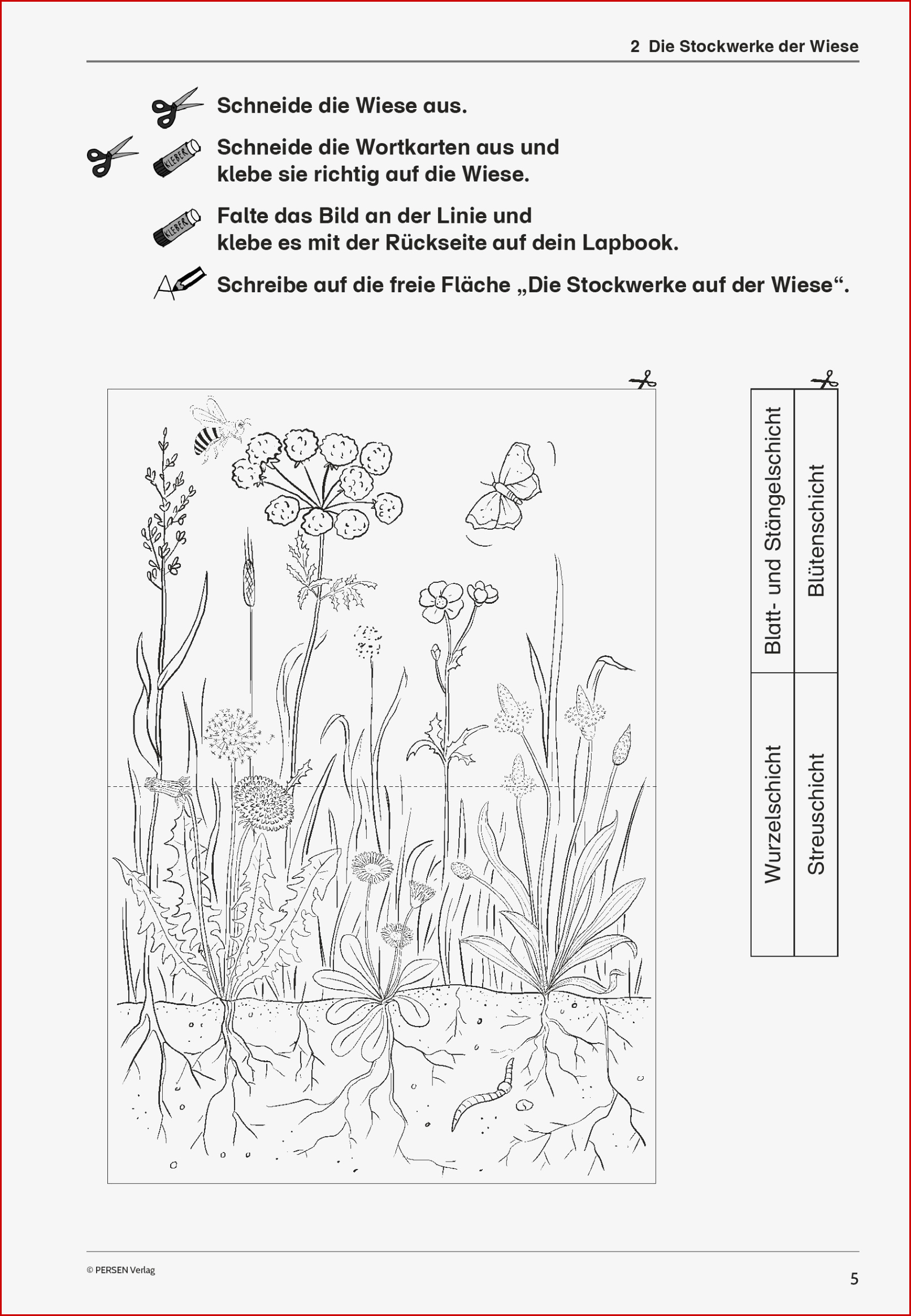 Grundschule Unterrichtsmaterial Sachunterricht Natur Und