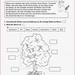 Grundschule Unterrichtsmaterial Sachunterricht Natur Und