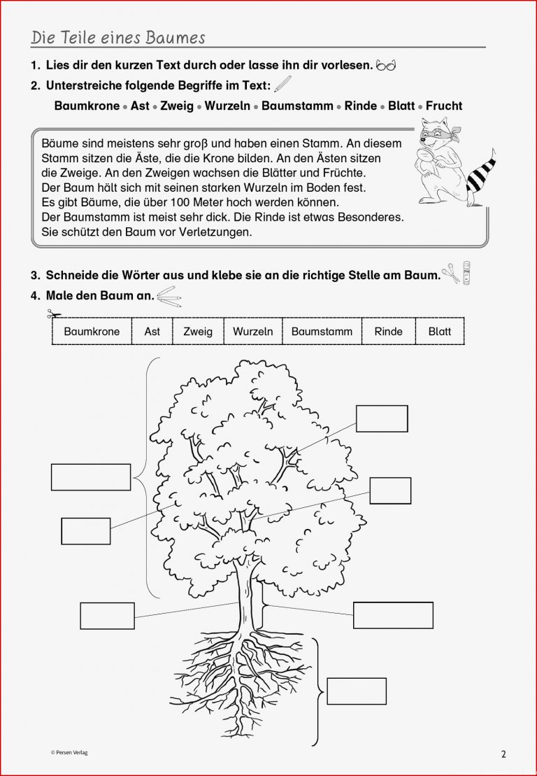 Grundschule Unterrichtsmaterial Sachunterricht Natur Und