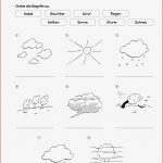 Grundschule Unterrichtsmaterial Sachunterricht Natur Und