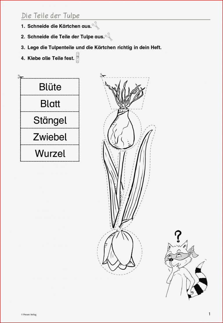 Grundschule Unterrichtsmaterial Sachunterricht Natur und