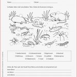 Grundschule Unterrichtsmaterial Sachunterricht Natur Und