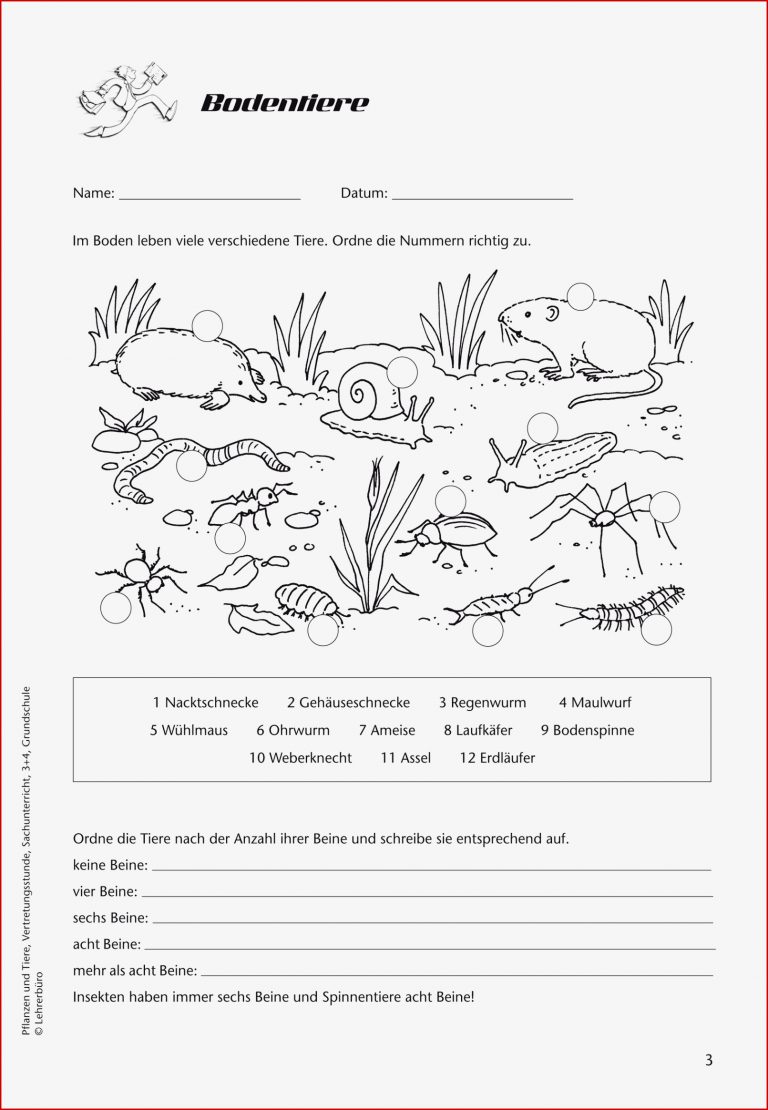 Grundschule Unterrichtsmaterial Sachunterricht Natur Und