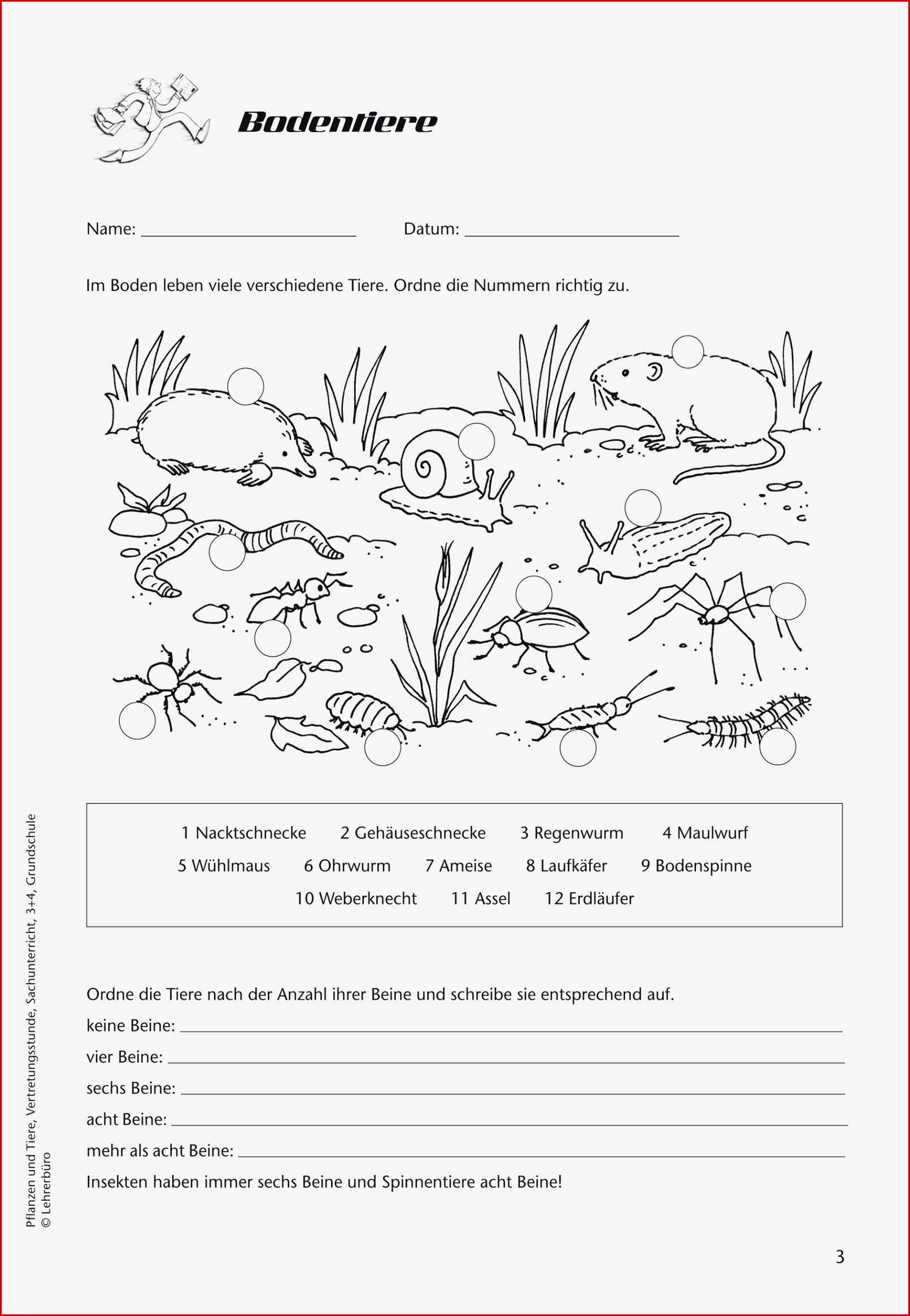 Grundschule Unterrichtsmaterial Sachunterricht Natur Und