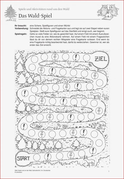 Grundschule Unterrichtsmaterial Sachunterricht Natur Und