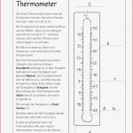 Grundschule Unterrichtsmaterial Sachunterricht Natur Und