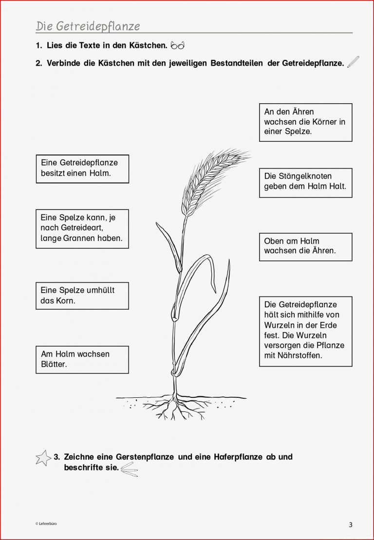 Grundschule Unterrichtsmaterial Sachunterricht Natur Und