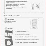 Grundschule Unterrichtsmaterial Sachunterricht Natur Und Leben