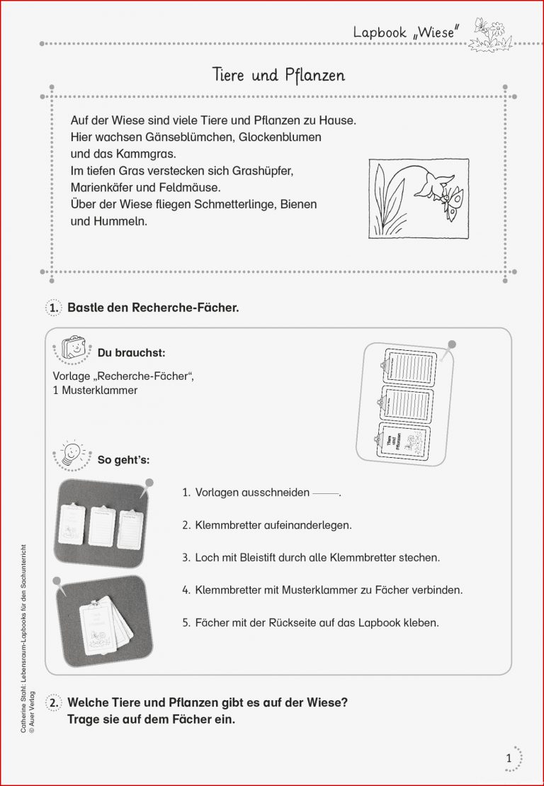 Grundschule Unterrichtsmaterial Sachunterricht Natur Und Leben