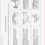 Grundschule Unterrichtsmaterial Werken Textiles Gestalten