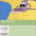 Grundschule Videos Sachunterricht