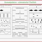 Grundwissen Wasserqualität Bewirtschaftung Management