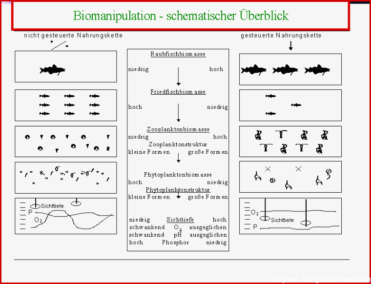 Grundwissen Wasserqualität Bewirtschaftung Management