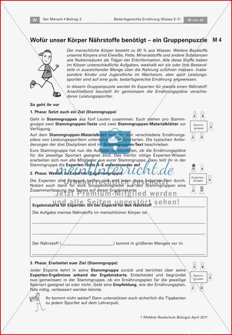 Gruppenpuzzle Wofür Braucht Der Körper Nährstoffe