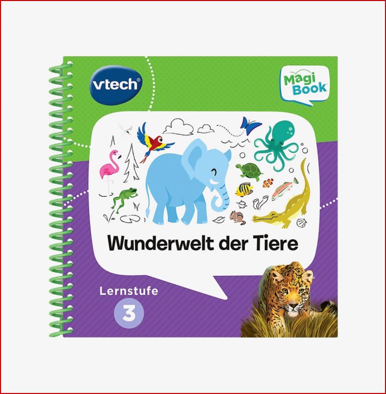 Günstig kaufen shop Vtech Lernspielzeug MagiBook Lernbuch