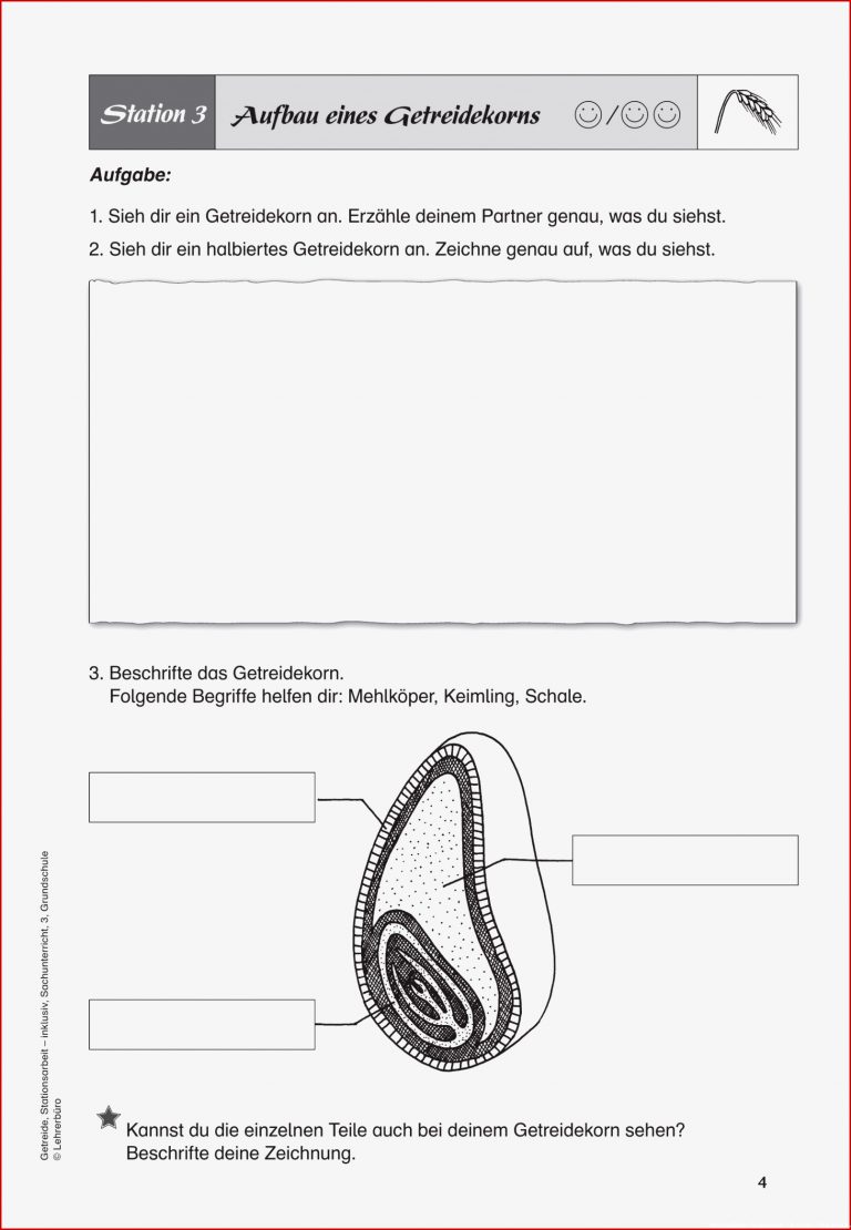 Häufigste Suchbegriffe