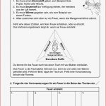 Häufigste Suchbegriffe